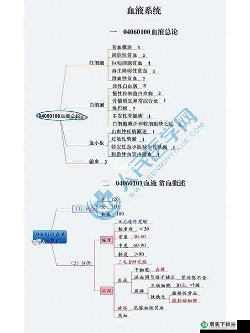 深入探究血族辅助系统的内在机制与功能特点全面解析