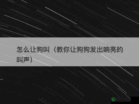 如何有效解决看门狗声音过小的问题让其叫声更响亮